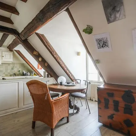Cozy In The Center Of Apartment